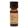 Olejek eteryczny 10ml - rozmaryn Olejek eteryczny 10ml - rozmaryn