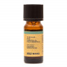 Olejek eteryczny 10ml - mięta pieprzowa Olejek eteryczny 10ml - mięta pieprzowa